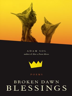 cover image of Broken Dawn Blessings